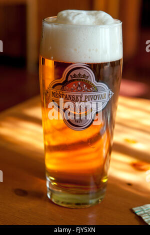 Frisch gezapftes Bier aus der Brauerei Policka, Tschechien Stockfoto