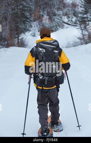 Senior woman in schwarzen und gelben Mantel Schneeschuhen an einem verschneiten Tag in den Wäldern des nördlichen Maine nahe Rangeley einen Abhang hinunter. Stockfoto