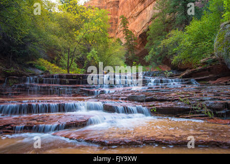 Erzengel fällt auf die linke Gabel des North Creek (U-Bahn) Trail, Zion Nationalpark, Utah Stockfoto