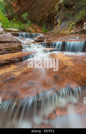 Erzengel fällt auf die linke Gabel des North Creek (U-Bahn) Trail, Zion Nationalpark, Utah Stockfoto