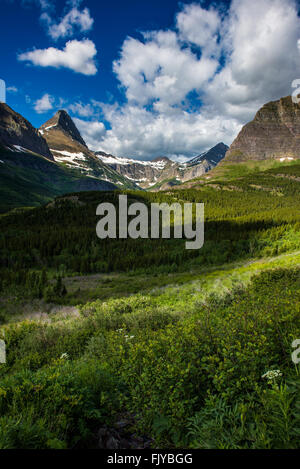 Schöne Aussicht auf Glacier National Park gehören gehen auf die Straße der Sonne Stockfoto