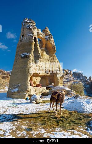 Abgefressenen vulkanischen Tuff frühen christlichen Höhlenwohnungen Höhle Wohnung Zimmer in Göreme Open Air Museum Nationalpark, Kappadokien, Türkei Stockfoto