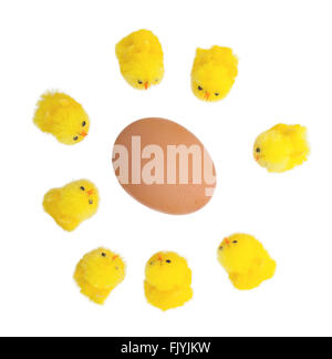 Ostern-Küken, die rund um ein großes Ei, isoliert Stockfoto