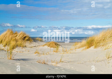 Zeigen Sie zwischen zwei Dünen mit Strandhafer auf einem riesigen Strand und das Meer gewachsen an. Stockfoto