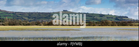 Panoramablick auf Kelston Round Hill, mit überfluteten englische Ackerland im Land von Somerset, zwischen Bath und Keynsham Stockfoto