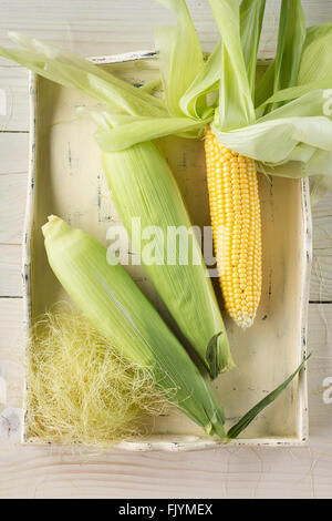 Frische Maiskolben auf Tablett aus Holz Stockfoto