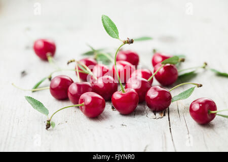 Frische Bio Sauerkirschen, Reife, Tiefe rote Kirsche Stockfoto