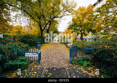 Gehweg und Herbst Farbe am Helmholtzplatz in Prenzlauer Berg, Berlin, Deutschland. Stockfoto