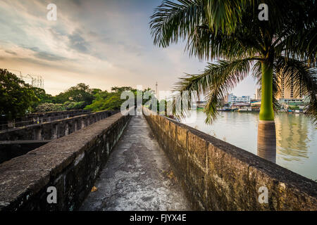 Palm-Baum und Mauern entlang des Flusses Pasig, am Fort Santiago, Intramuros, Manila, Philippinen. Stockfoto