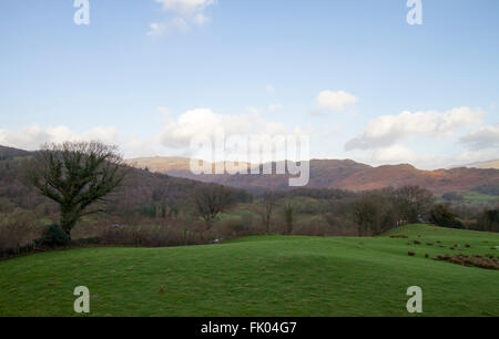 Lake District im winter Stockfoto