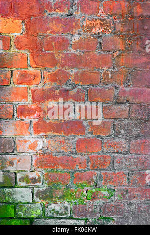 Grunge Ziegelwand in orange und grün lackiert Stockfoto