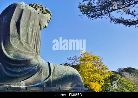 Der große Buddha von Kamakura (Daibutsu) im Kotoku-in Tempel Stockfoto