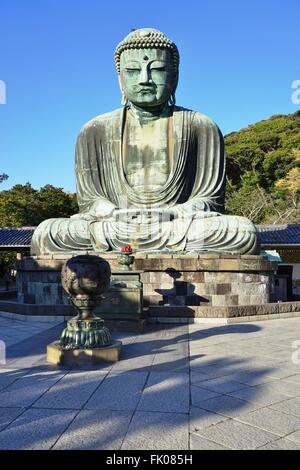 Der große Buddha von Kamakura (Daibutsu) im Kotoku-in Tempel Stockfoto