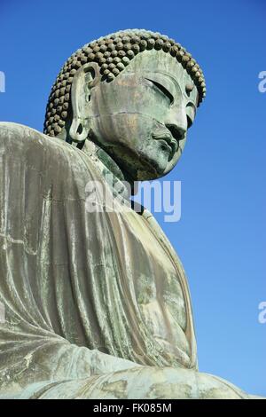 Der große Buddha von Kamakura (Daibutsu) im Kotoku-in Tempel Stockfoto