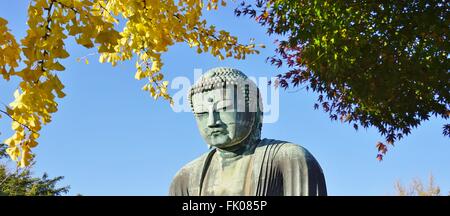 Der große Buddha von Kamakura (Daibutsu) im Kotoku-in Tempel Stockfoto