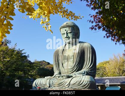 Der große Buddha von Kamakura (Daibutsu) im Kotoku-in Tempel Stockfoto