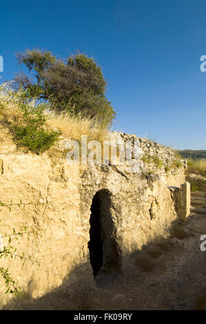 Sterben Sie Griechenland, Kreta, Nea Pressos Ausgrabung ist Mit Gräsern Und Blumen Überwachsen, Dazwischen Semesters Mann Mauer-Und Archit Stockfoto