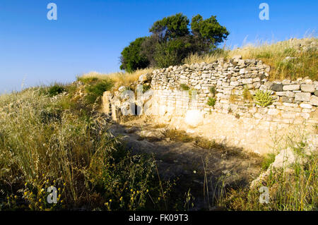 Sterben Sie Griechenland, Kreta, Nea Pressos Ausgrabung ist Mit Gräsern Und Blumen Überwachsen, Dazwischen Semesters Mann Mauer-Und Archit Stockfoto