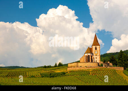 Weinberg-Landschaft mit der Kirche von Saint-Jacques-le-Gewalt im Hintergrund Hunawihr, entlang der Weinstrasse Elsass, Frankreich, Stockfoto