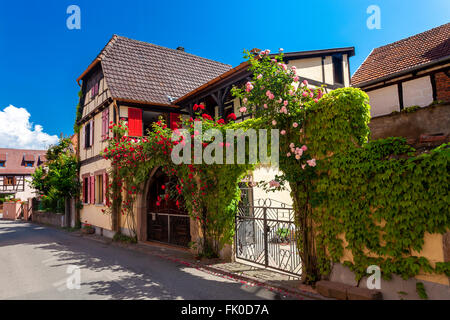 Blick auf das Dorf Bergheim entlang der Route des Elsass Haut-Rhin-Frankreich Stockfoto