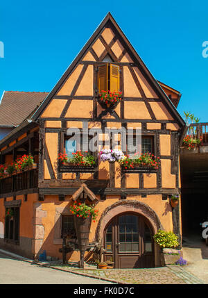 Blick auf das Dorf Bergheim entlang der Route des Elsass Haut-Rhin-Frankreich Stockfoto