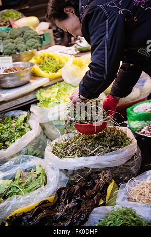 Eine Frau verkaufen frischen Grüns am Gwanjang Markt in Seoul, Südkorea Stockfoto