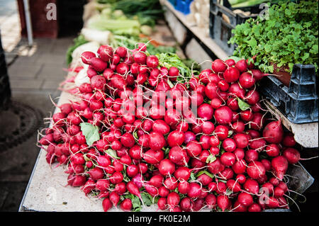 Radieschen am Viktualienmarkt, München Stockfoto