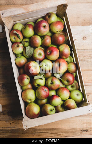 Kiste voller Äpfel Stockfoto