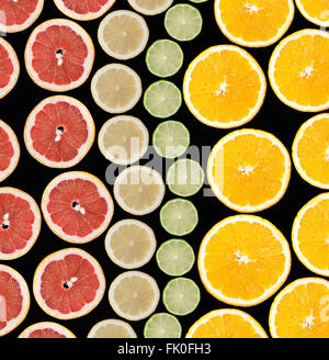 Satz von Zitrusfrüchte (Grapefruit, Orange, Limone, Zitrone) auf schwarzem Hintergrund isoliert Stockfoto