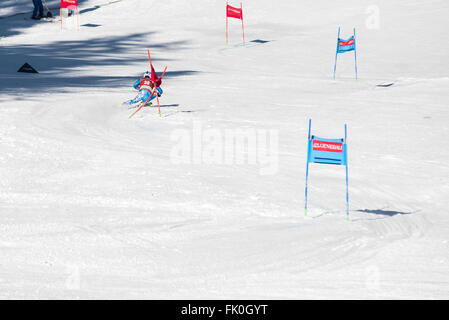 Kranjska Gora, Slowenien. 4. März 2016. Adam Zampa der Slowakei auf dem Platz während der 55. Vitranc Cup Riesenslalom in Kranjska Gora, Slowenien am 4. März 2016. © Rok Rakun/Pacific Press/Alamy Live-Nachrichten Stockfoto