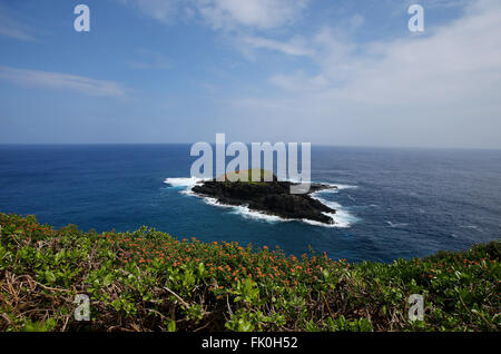 Ein Blick auf eine kleine Insel direkt an der Kilauea Point auf der Insel Kauai am Kilauea Point, Hawaii, Vereinigte Staaten von Amerika Stockfoto