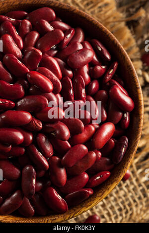 Rohe rote Bio Bohnen in eine Schüssel geben Stockfoto