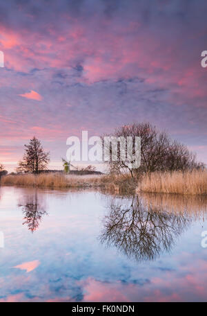 Rosa Wolken spiegeln sich in den stillen Wassern des Flusses Ameise auf den Norfolk Broads. Stockfoto