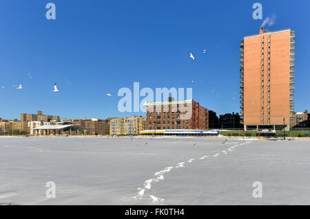 Coney Island Beach in Brooklyn, New York nach einem großen Schneesturm. Stockfoto