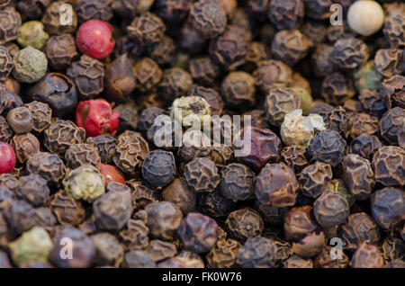 Bunte Paprika-Mais-Hintergrundbild Stockfoto