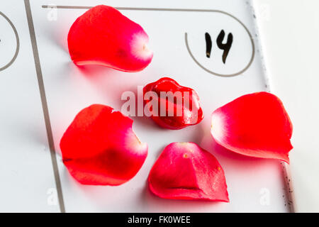 Nahaufnahme eines Kalenders mit der Nummer 14 geschrieben und roten Blüten und Lippen als ein Konzept für den Valentinstag Stockfoto