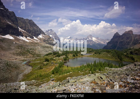 Opabin Plateau, Lake O'Hara Region des Yoho Nationalpark, Kanadische Rockies in der Nähe von Field, Britisch-Kolumbien Stockfoto