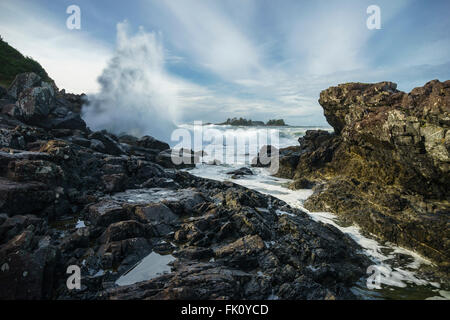 Wellen, die am Punkt Pettinger, Cox Bay, Pacific Rim National Park, Tofino, Ucluelet, Vancouver Island, British Columbia, Ca Stockfoto