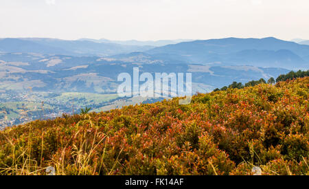 Blick auf die Berge in Piliptse. Frühherbst. Ukraine. Stockfoto