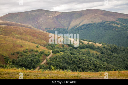 Blick auf die Berge in Piliptse. Frühherbst. Ukraine. Stockfoto