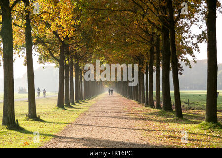 Menschen zu Fuß auf Fußweg, Lane mit Bäumen auf beiden Seiten im Herbst in Baarn, Niederlande Stockfoto