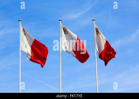 Maltesische Flaggen wehen auf dem Kriegerdenkmal, Floriana, Valletta, Malta Stockfoto