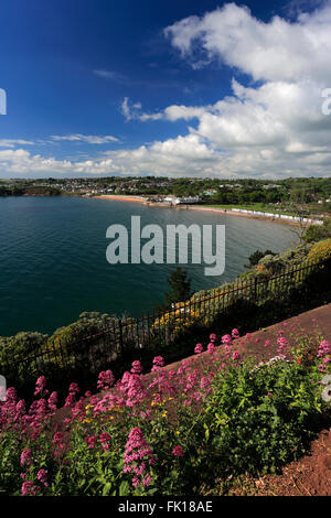 Die geschwungenen Goodrington Sands Beach, Torbay, englische Riviera, Grafschaft Devon, England, UK Stockfoto