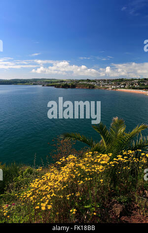 Die geschwungenen Goodrington Sands Beach, Torbay, englische Riviera, Grafschaft Devon, England, UK Stockfoto