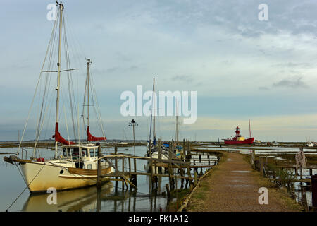 Winter-Szene mit Gehwegen durch Salzwiesen, die Zugriff auf die Schlamm-Liegeplätze in Tollesbury Marina Essex UK Stockfoto