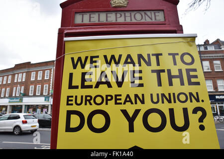 Twickenham, London, UK. 5. März 2016. EU und UKIP Hand Flugblättern zu verlassen. Breitensport, Aktionstag, Kampagne, um die EU verlassen Stockfoto