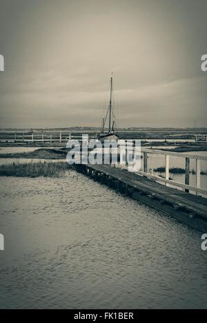 blauen monochrome bandtypischen Szene der Holzstege durch Salzwiesen, die Zugriff auf die Schlamm-Liegeplätze in Tollesbury Marina Essex UK Stockfoto