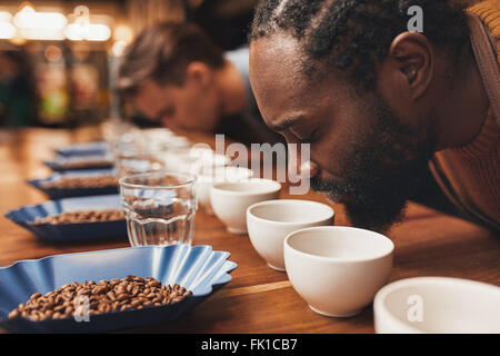 Weinprobe mit Baristas riechen den Duft der vielen Tassen Kaffee Stockfoto