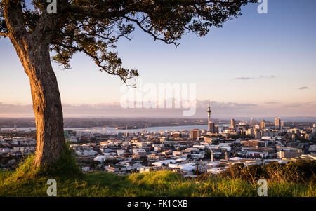 Ein Blick Auckland bei Sonnenuntergang aus dem Überrest-Vulkan Mt. Eden. Stockfoto