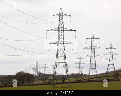 Strommasten schneiden eine Schneise durch die Nord-Devon-Landschaft Stockfoto